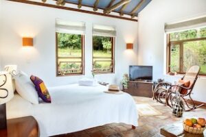 Ayurveda Retreat